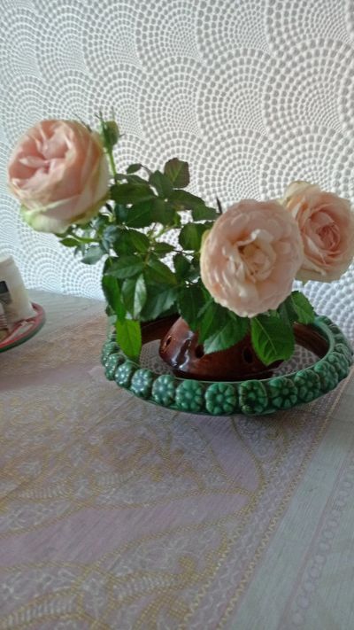 Лот: 21450611. Фото: 1. Оригинальная флористическая ваза. Кашпо, горшки, вазоны для цветов