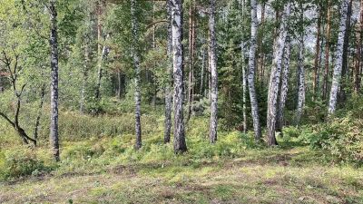 Лот: 25294724. Фото: 1. 3-комн. дача , село Овсянка село... Дачи