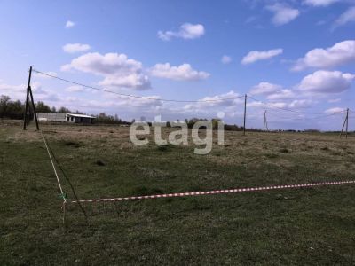 Лот: 25296406. Фото: 1. участок , ДНТ Мальта ДНТ Мальта... Земельные участки
