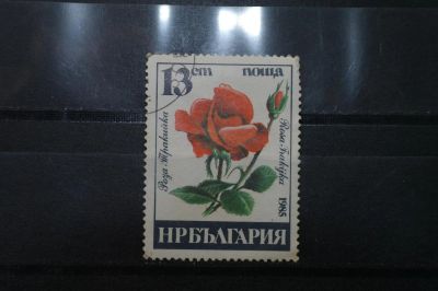 Лот: 3961523. Фото: 1. марка 25 Болгария 1985 флора. Марки