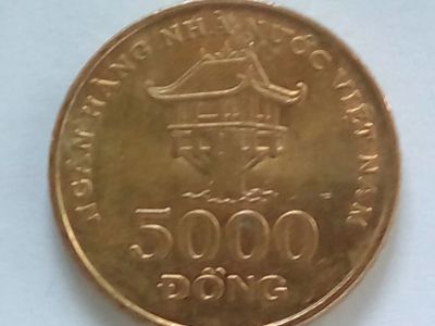 Лот: 18747940. Фото: 1. Монета Вьетнама 5000 донгов, 2003. Азия