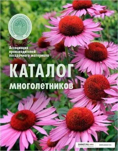 Лот: 9351680. Фото: 1. книга каталог многолетников. Сад, огород, цветы