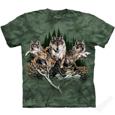 Лот: 2841764. Фото: 1. Футболка "Find 12 Wolves" (США... Футболки, поло