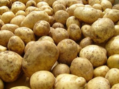Лот: 4464849. Фото: 1. Продам картофель!. Картофель