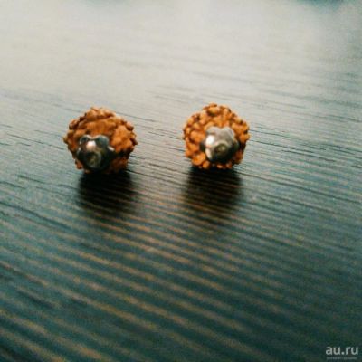 Лот: 9445934. Фото: 1. Серьги с рудракшей. Серьги, каффы