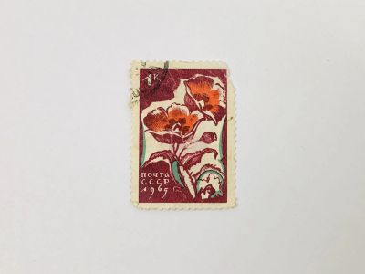 Лот: 23314677. Фото: 1. Цветы. Маки. Флора. СССР. 1965... Марки