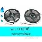 Лот: 1576824. Фото: 1. Синяя светодиодная лента во влагозащите... Светодиоды