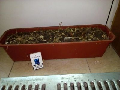Лот: 9082393. Фото: 1. горшок балконный 60 см. Кашпо, горшки, вазоны для цветов