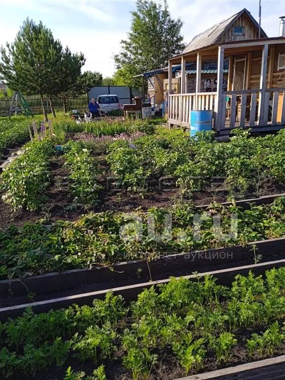 Купить Дом В Таскино Емельяновского Района