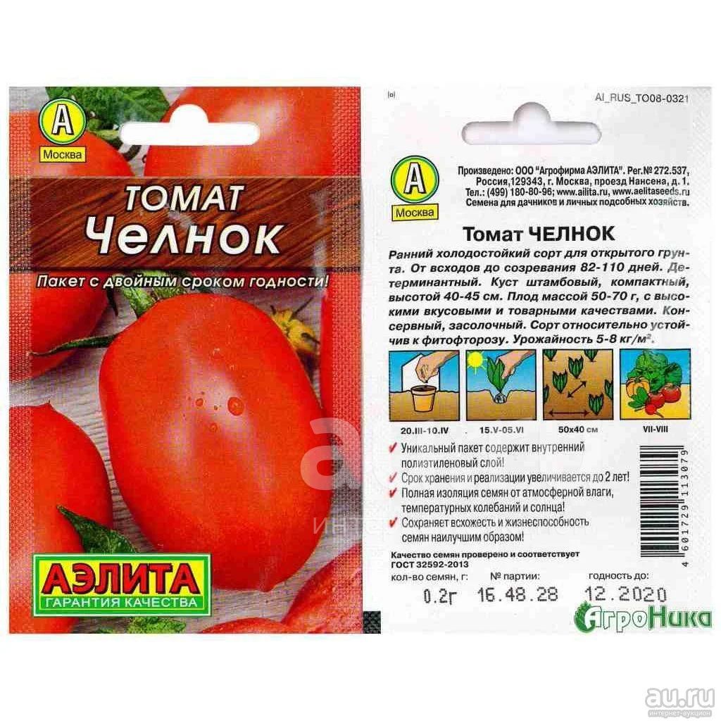 Челнок томат описание и отзывы фото характеристика