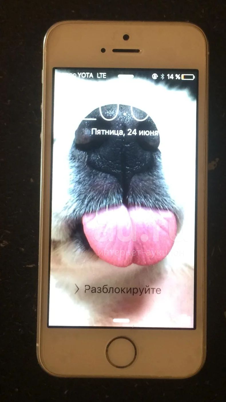 сотовый телефон смартфон Ай фон iPhone 5s 64gb — купить в Красноярске.  Состояние: Б/у. Смартфоны на интернет-аукционе Au.ru