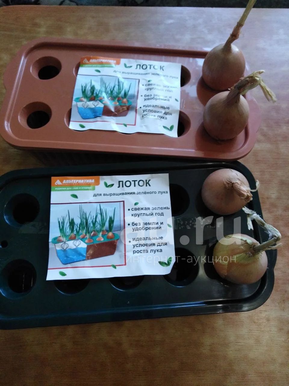 Контейнер для выращивания зеленого лука — купить в Красноярске ...