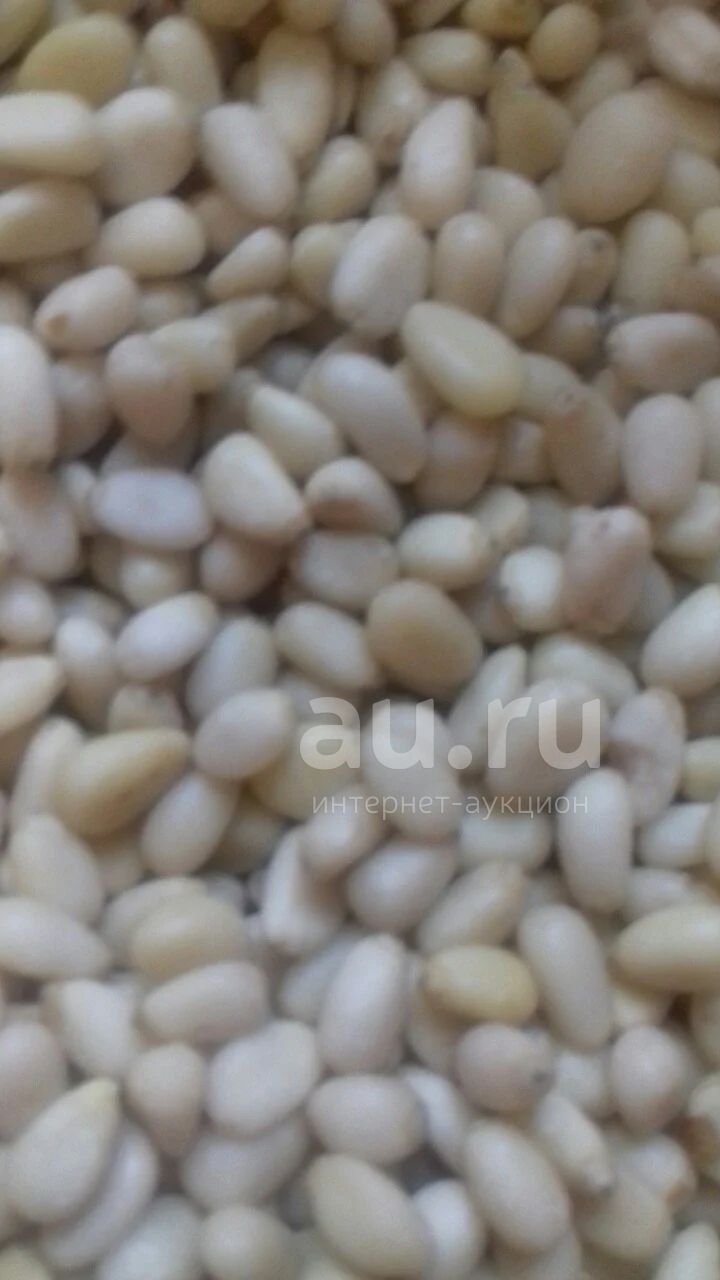 ядро кедрового ореха фасовка 1кг вакуум — купить в Красноярске. Ягоды ...