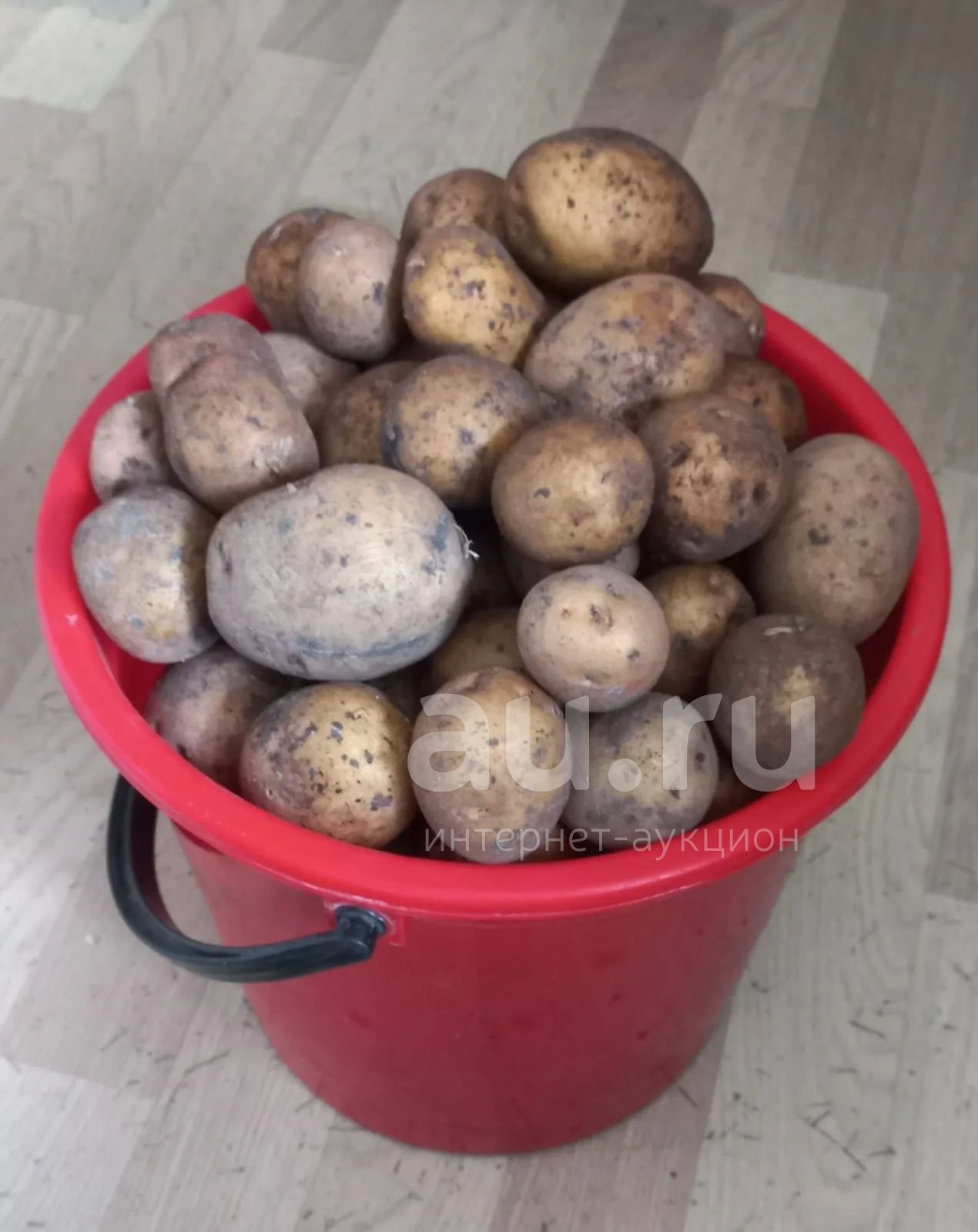 картофель мелкий — купить в Красноярске. Картофель на интернет-аукционе ...