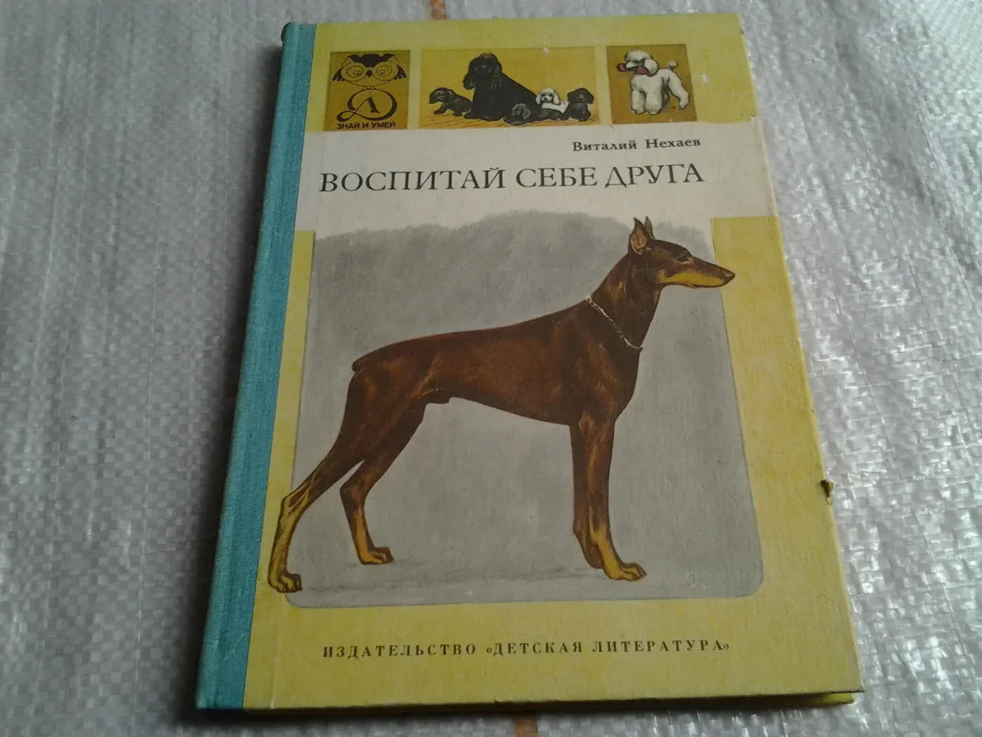 Доберман Айк