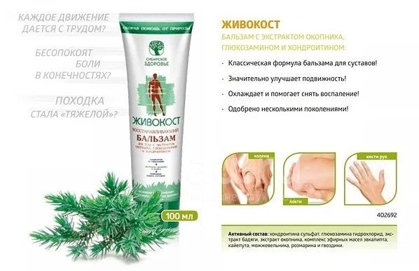 Живокост сибирское здоровье фото