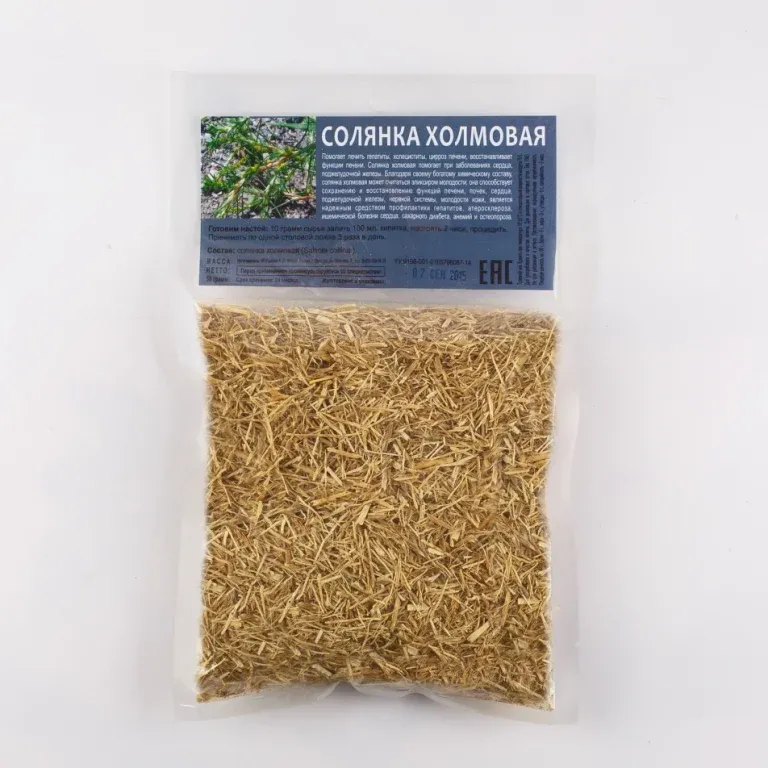 Солянка холмовая Солянка холмовая