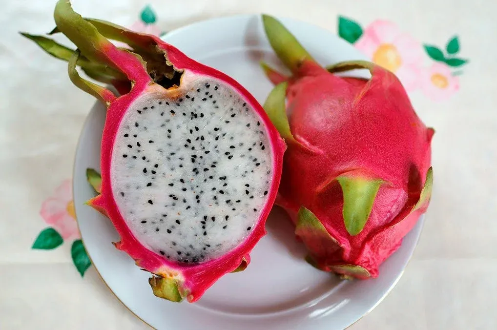 Как чистить питахайя правильно фрукт и кушать