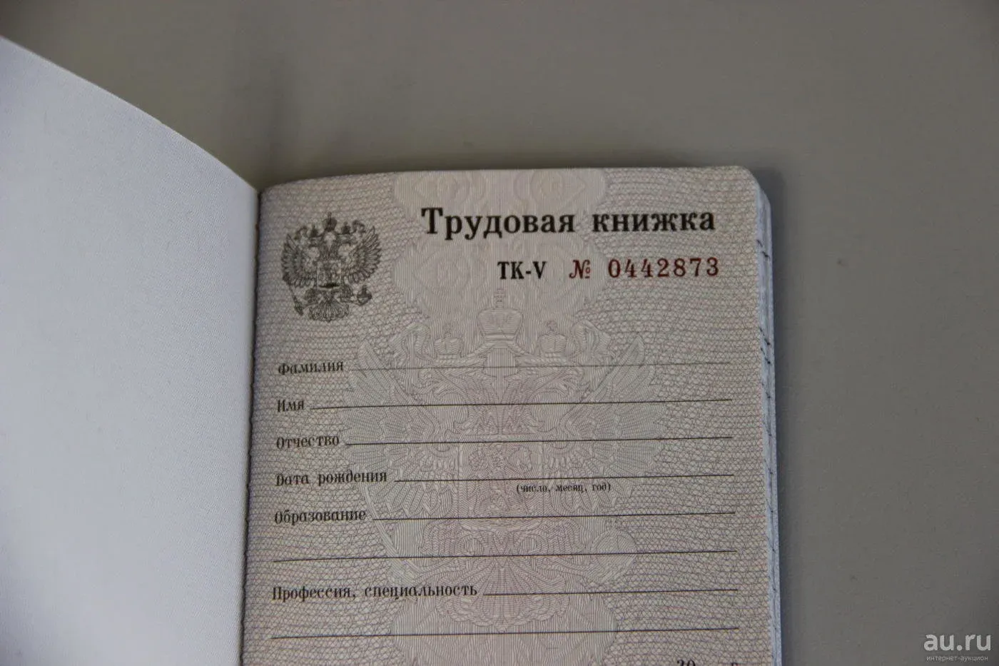 Пустая трудовая книжка