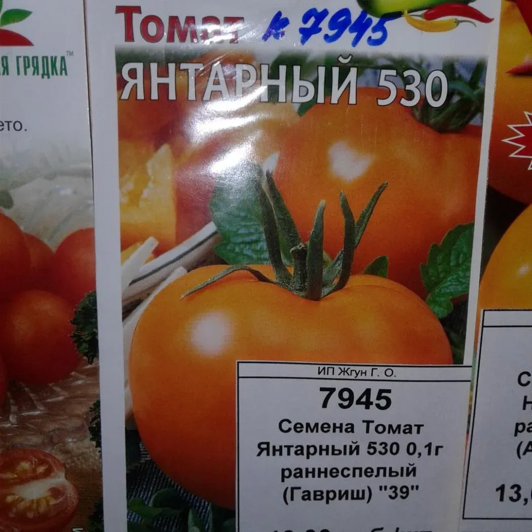 Томат Янтарный 530