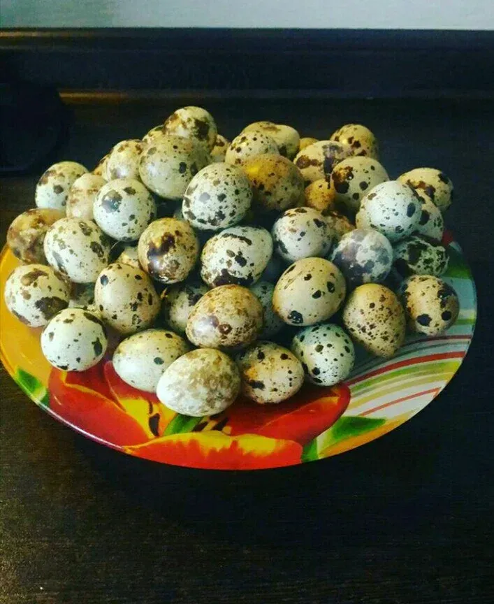 Блины из перепелиных яиц