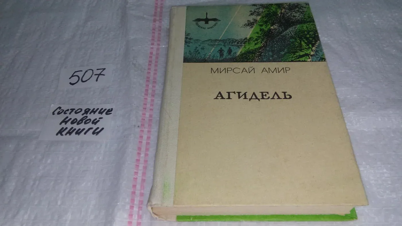 Обложки книг татарские. Мирсай амир биография. Амир аминев писатель. Амир мирсай друзья и враги. Мирсай амир.