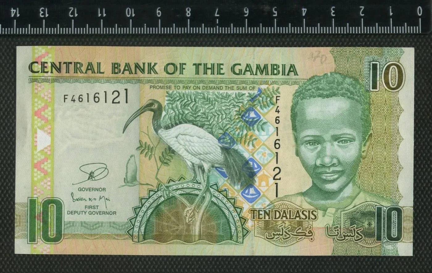Гамбия 10 даласи. Банкнота Гамбия 10 даласи. Деньги Гамбии. Деньги Африки. Купюры 2013