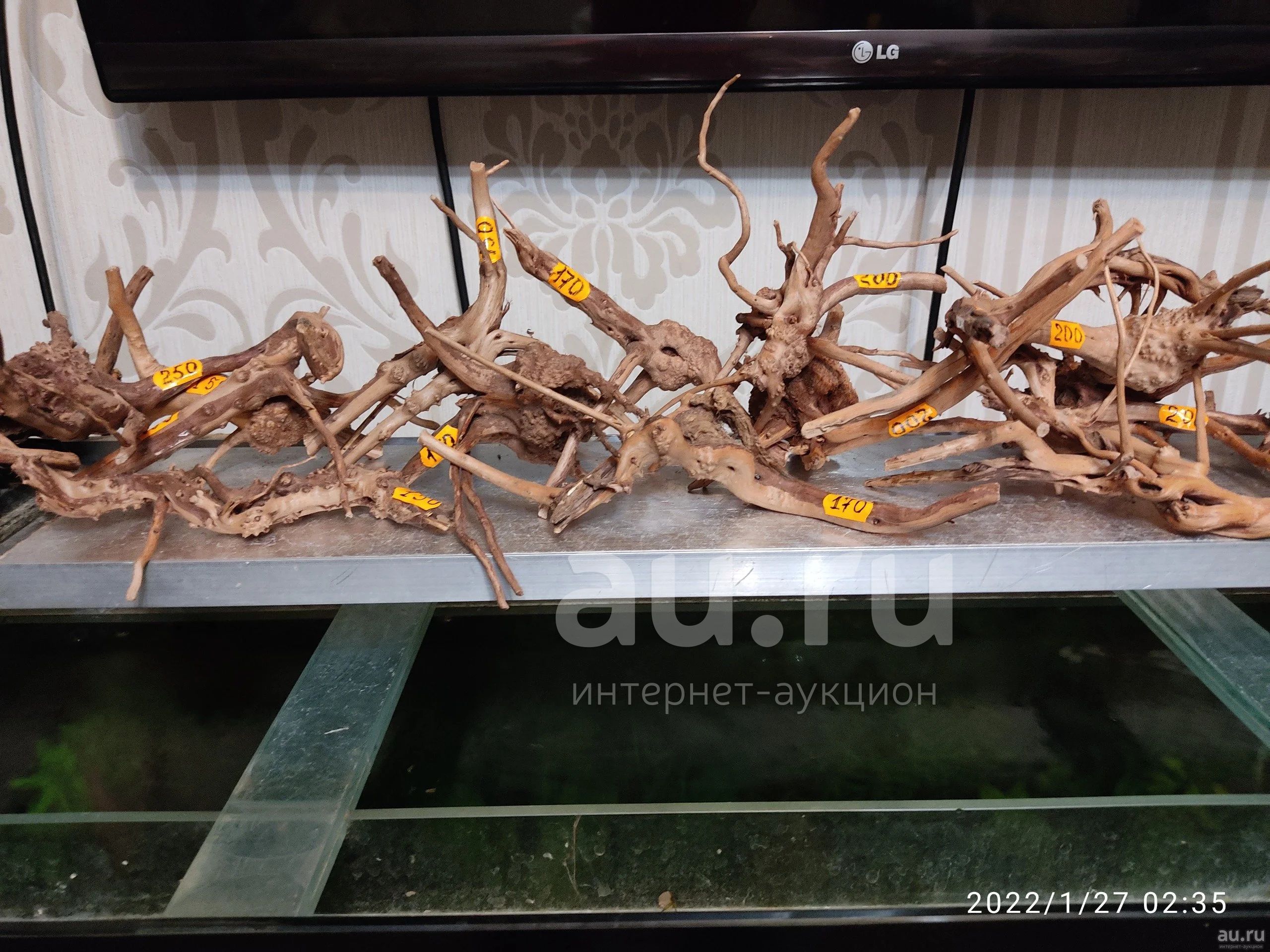 Коряги натуральные 10 - 40 см для аквариума, террариума ( Коряга ...