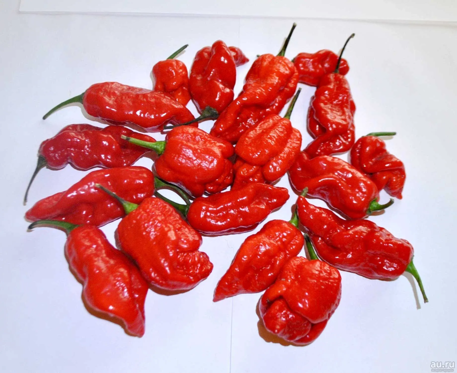 7 Pot Red перец