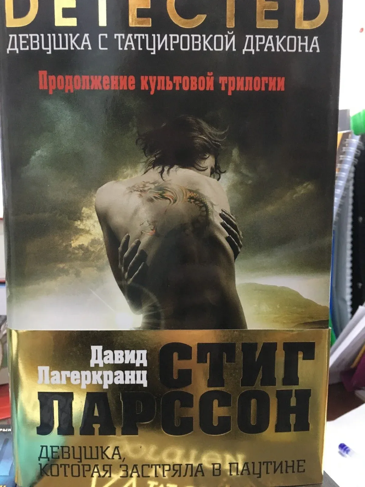 Давид Лагеркранц. Девушка, которая застряла в паутине