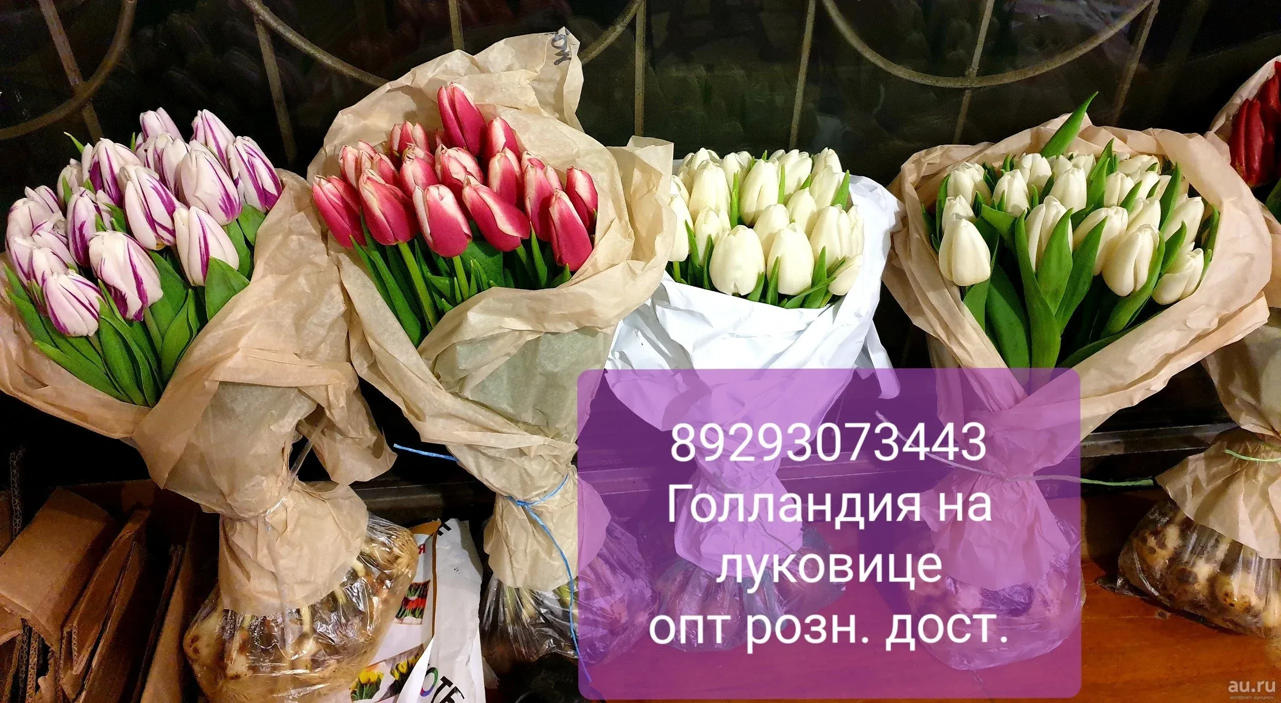 Где Можно Купить В Ставрополе Тюльпаны