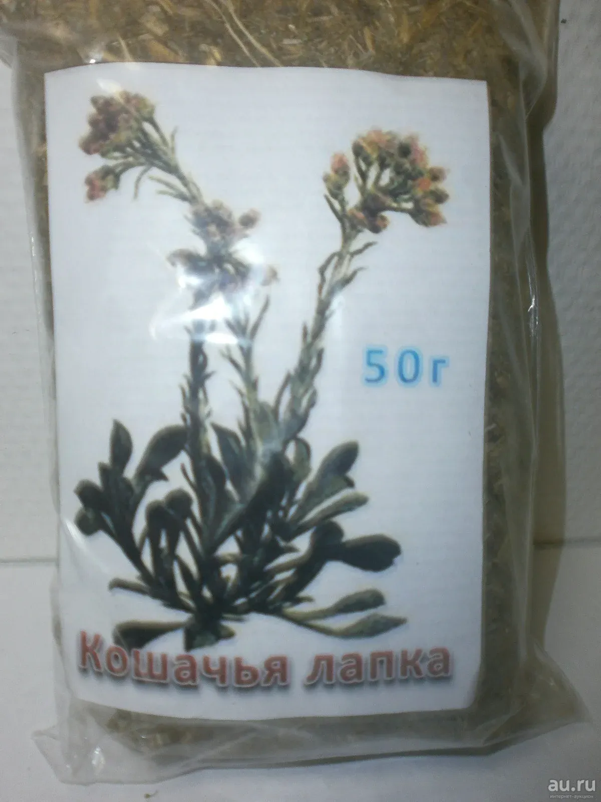 Трава кошачья лапка