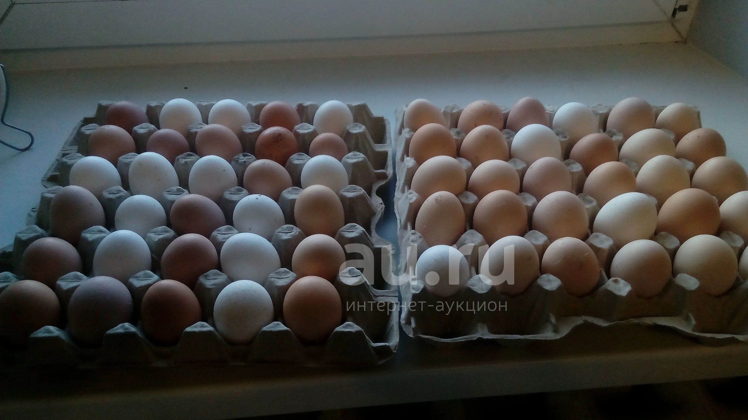 Купить Домашние Яйца Краснодар