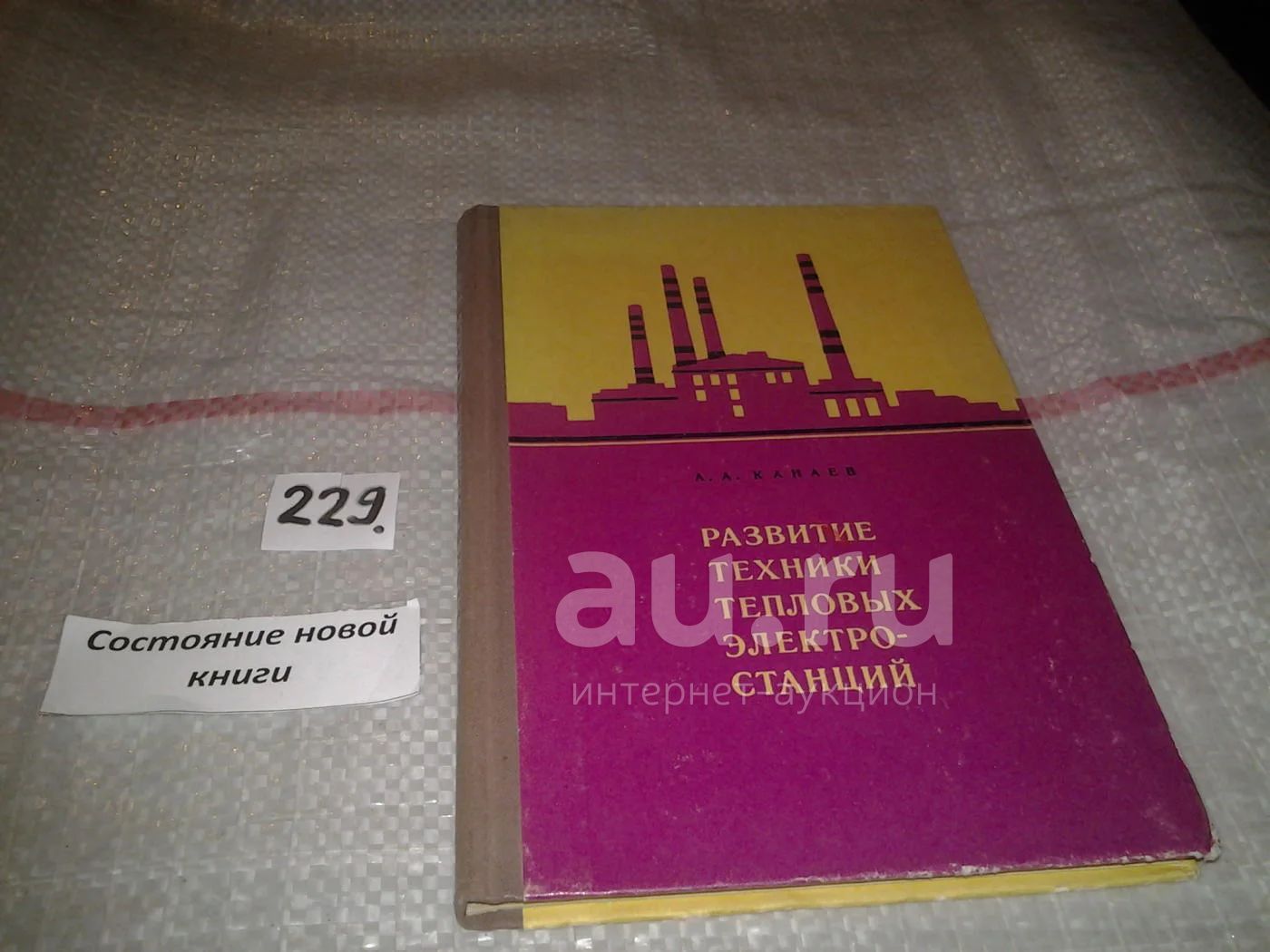 Развитие техники тепловых электростанций, Канаев А.А. (229) — купить в  Красноярске. Состояние: Б/у. Тяжелая промышленность на интернет-аукционе  Au.ru
