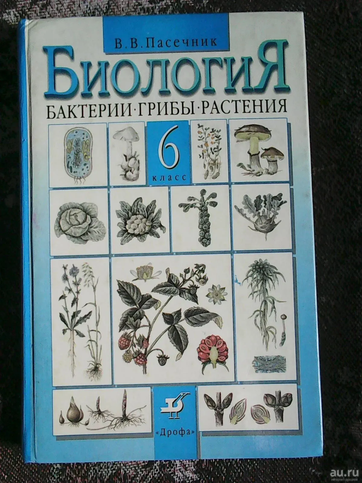 Биология 5 класс пасечник фото Картинки ТЕМЫ 6 КЛАССА БИОЛОГИЯ ПАСЕЧНИК
