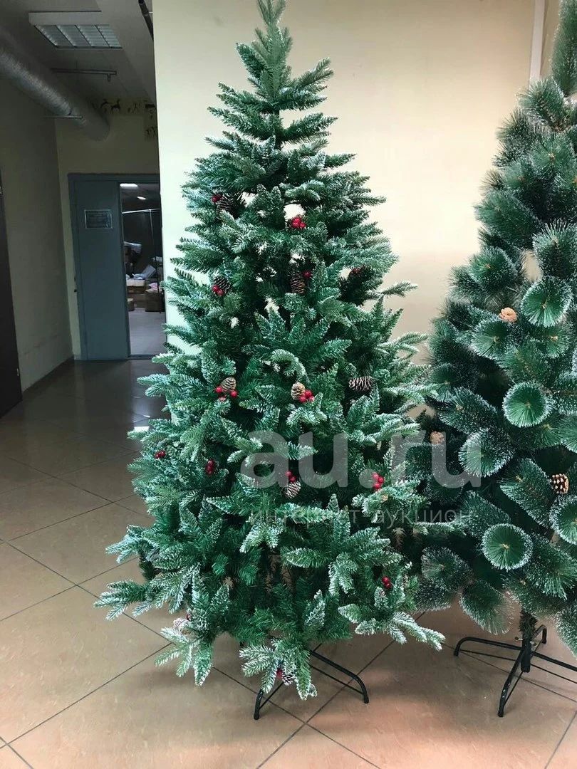 Купить Большие Ели