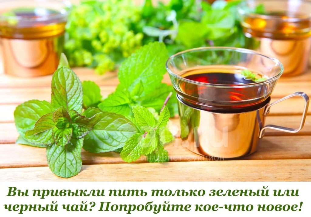 Зеленый Чай С Мятой Фото