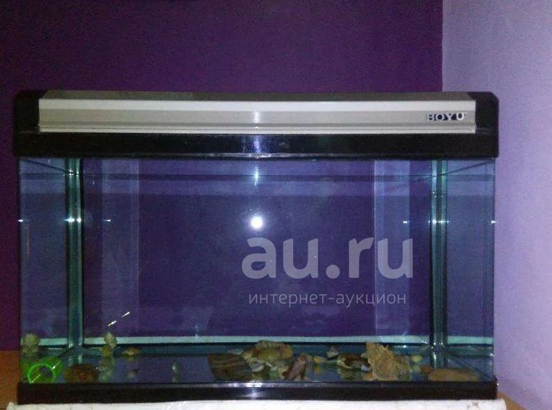 Купить Аквариум Красноярск Б У