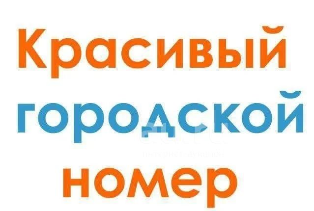 Прямой номер 495