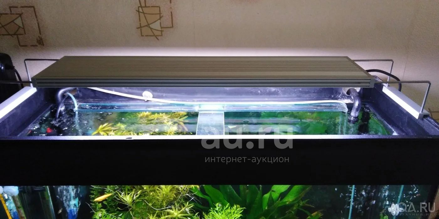 Светильники Чихирос Для Аквариума Купить В Спб