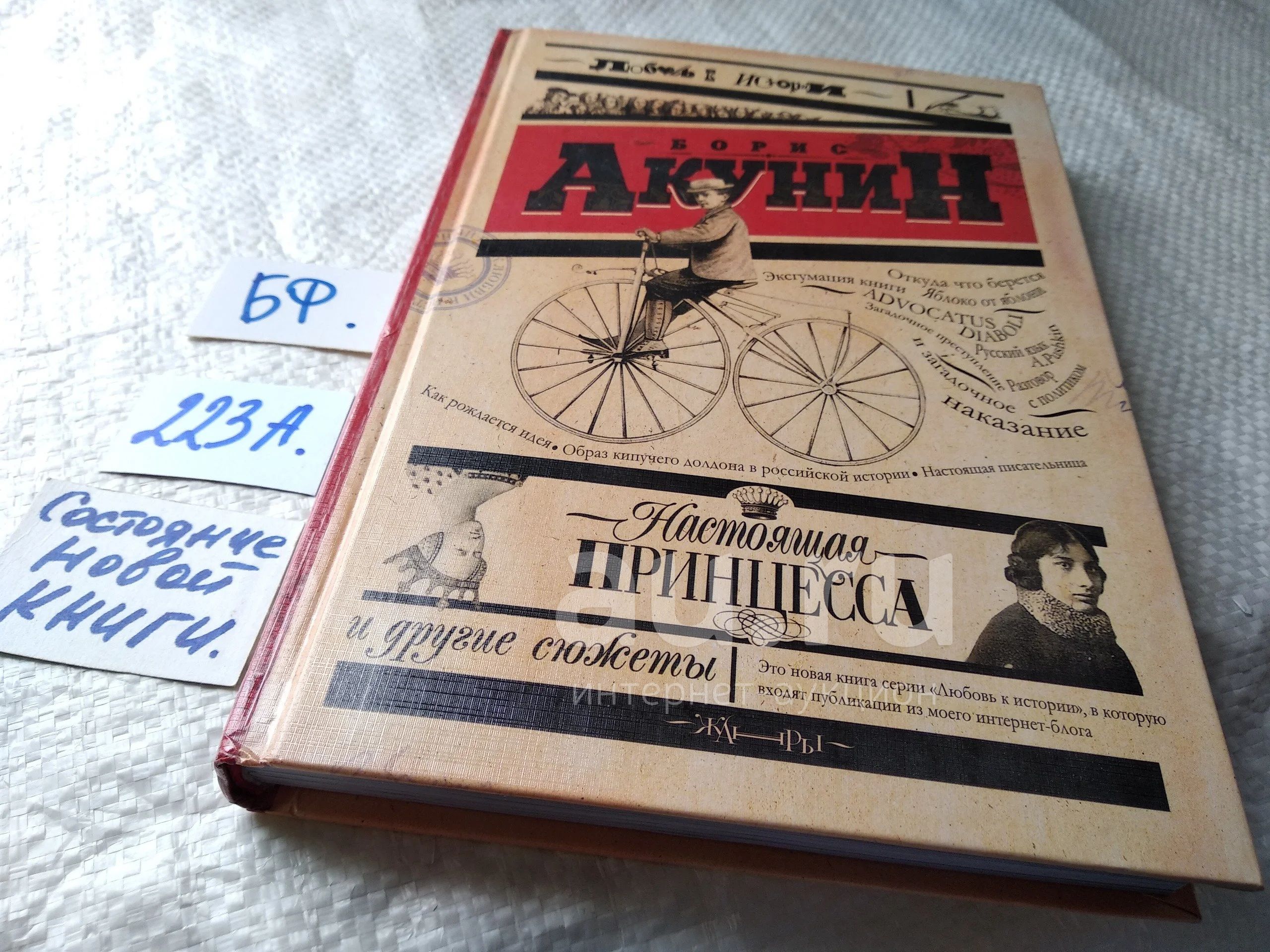Акунин настоящая Акунин настоящая