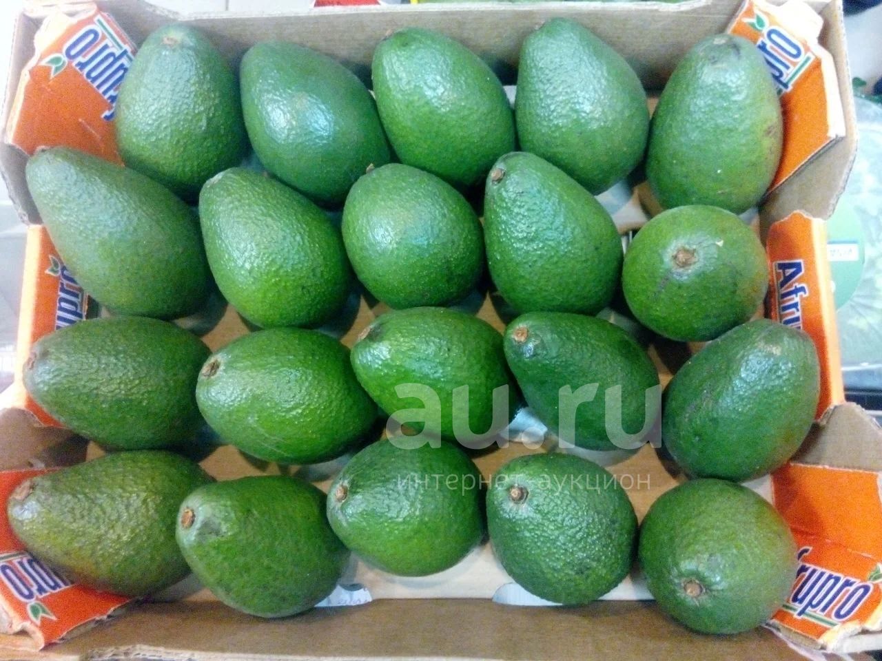 Авокадо , 1 шт — купить в Красноярске. Овощи, фрукты, зелень на ...
