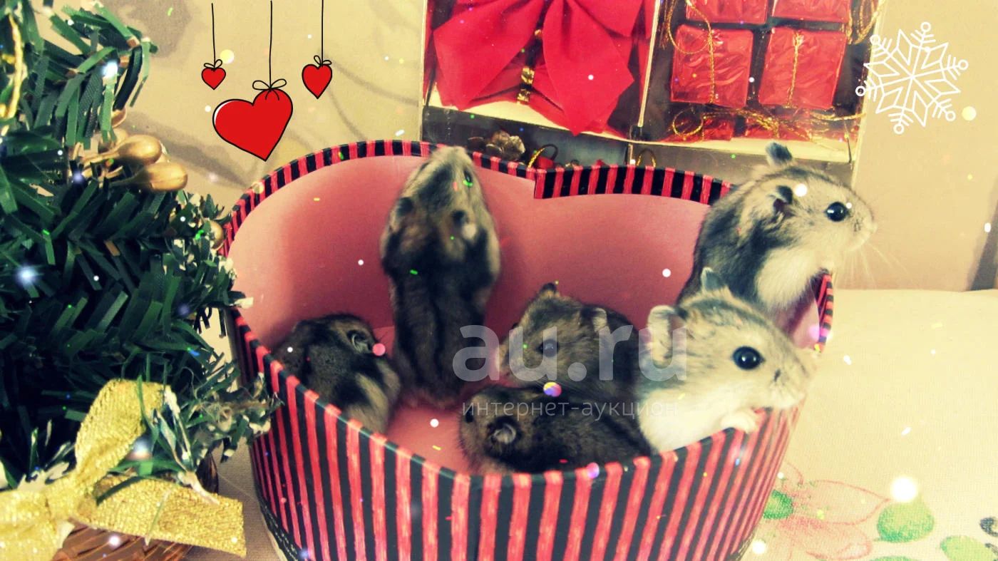 Новогодний хомячок