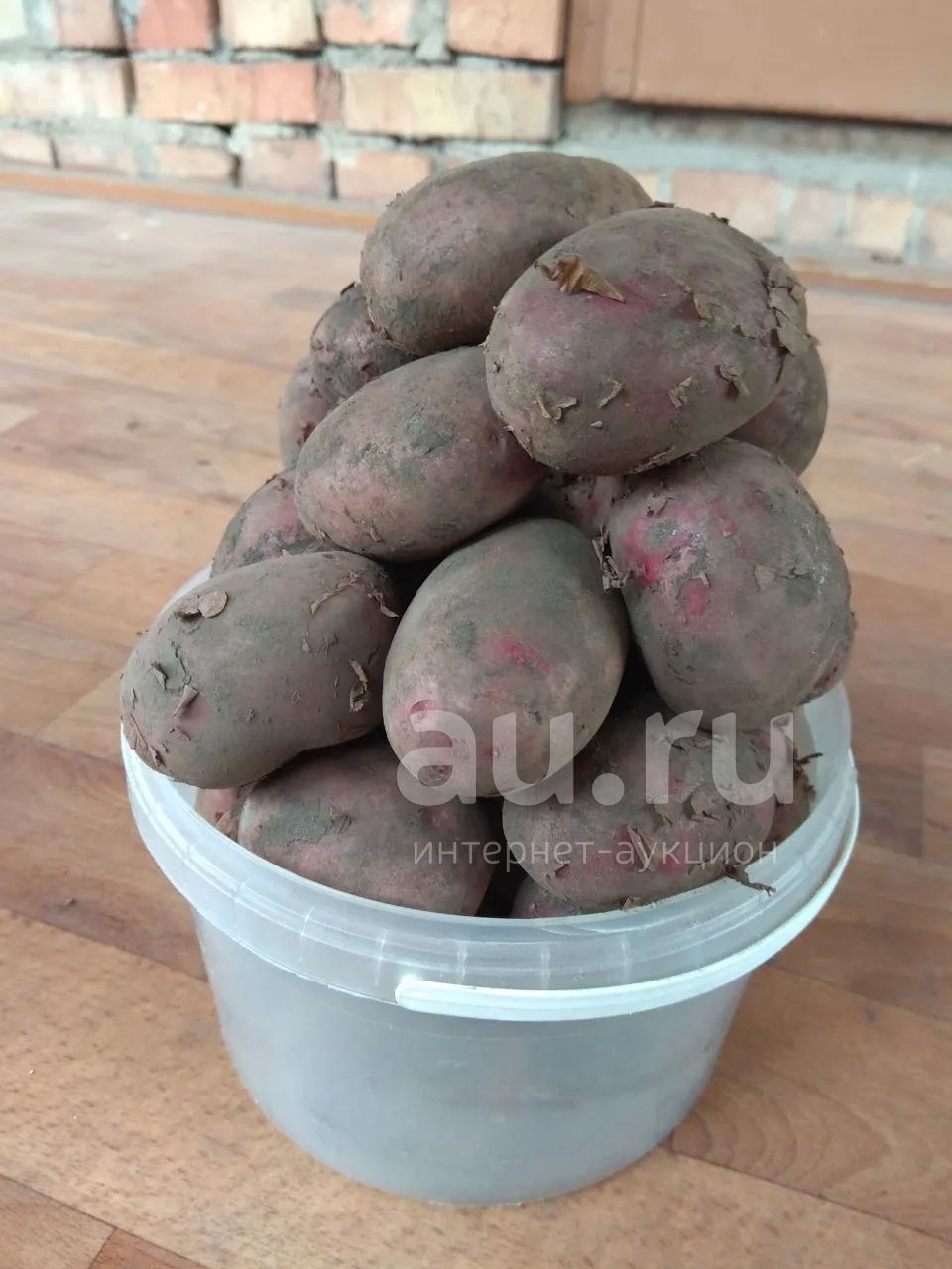картофель ред скарлет сорта фото отзывы