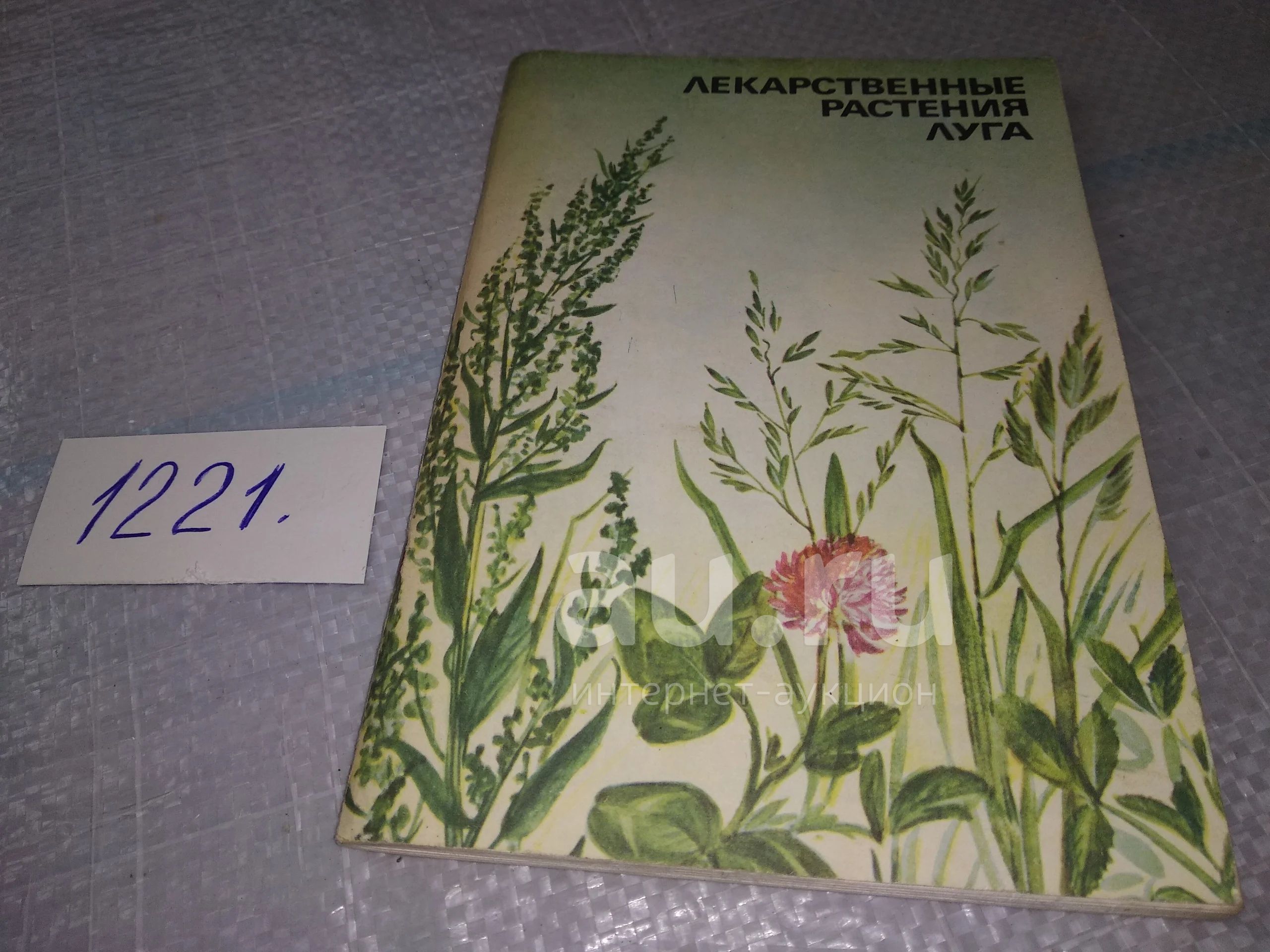 Гербарий растения Луга