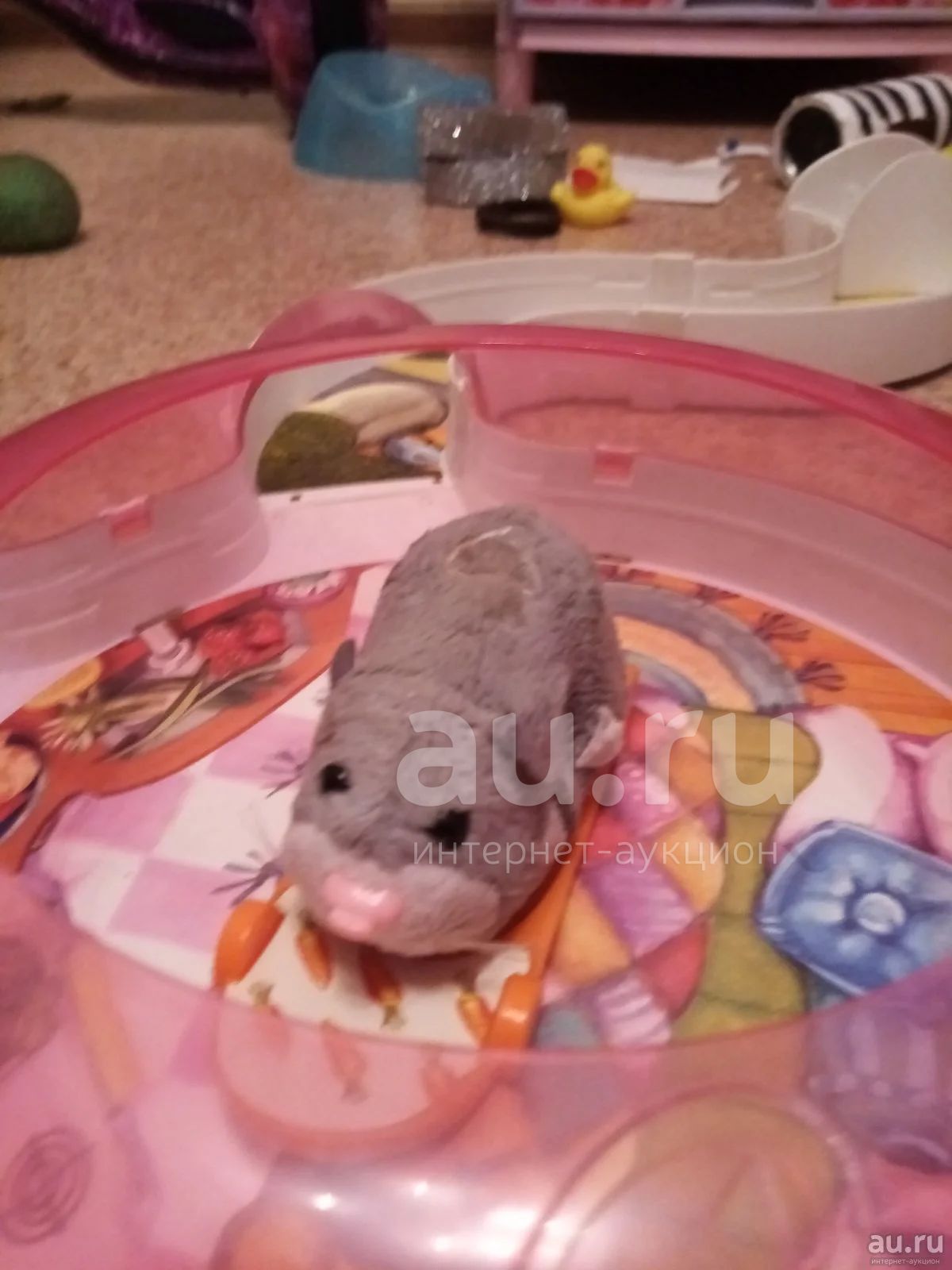Розовый хомяк