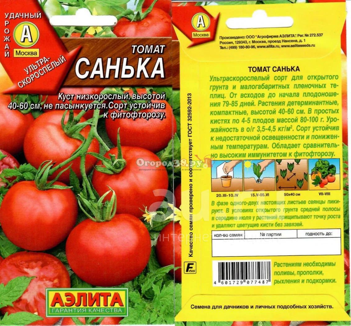Томаты санька золотой описание сорта фото отзывы