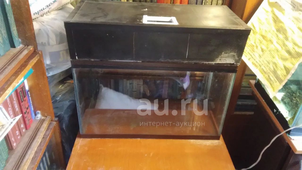 аквариум можно террариум 50 л — купить в Красноярске. Состояние: Б/у ...