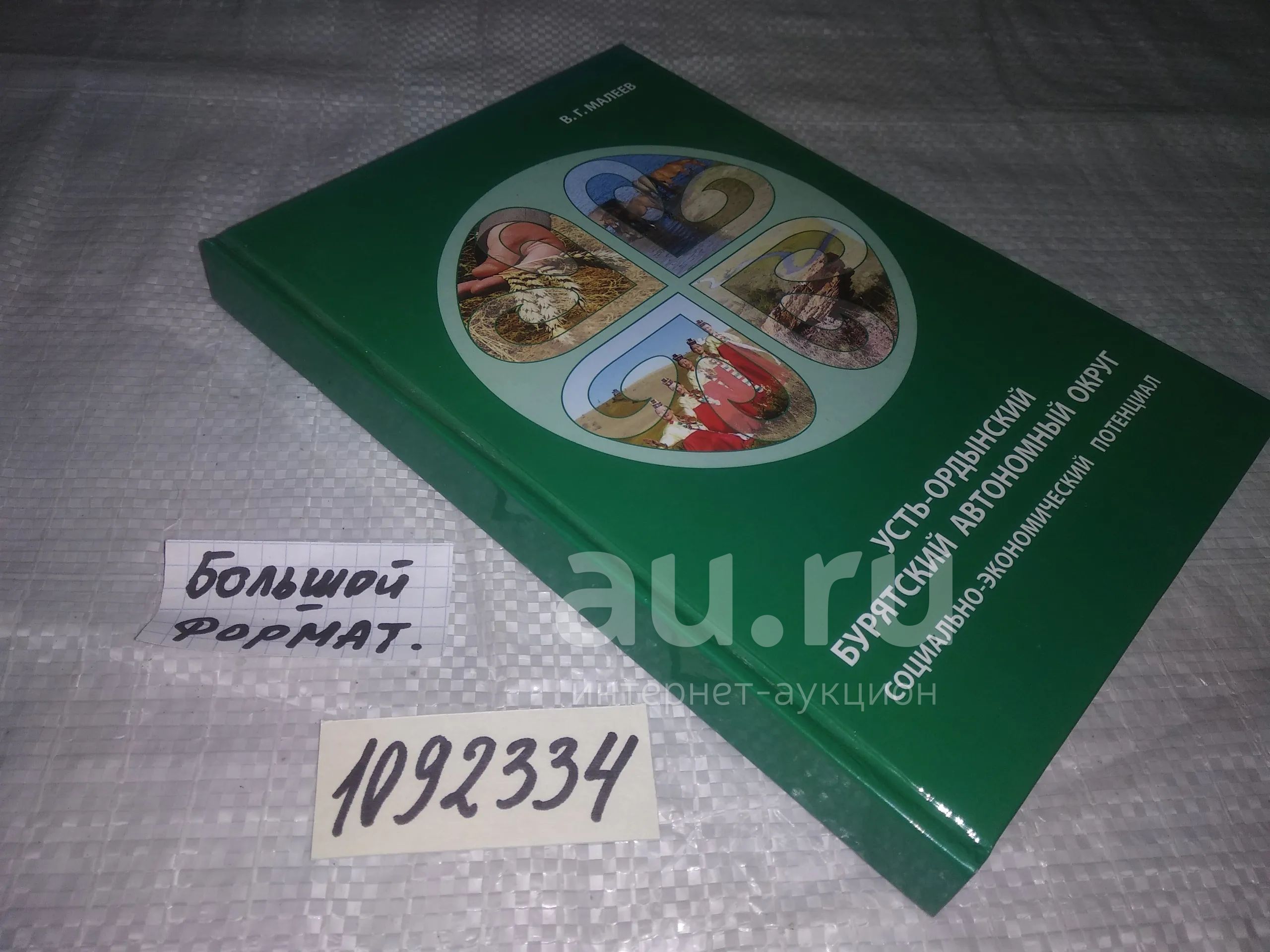 1092334) В.Г.Малеев Усть-Ордынский Бурятский Автономный Округ  Социально-Экономический потенциал — купить в Красноярске. Социология на  интернет-аукционе Au.ru