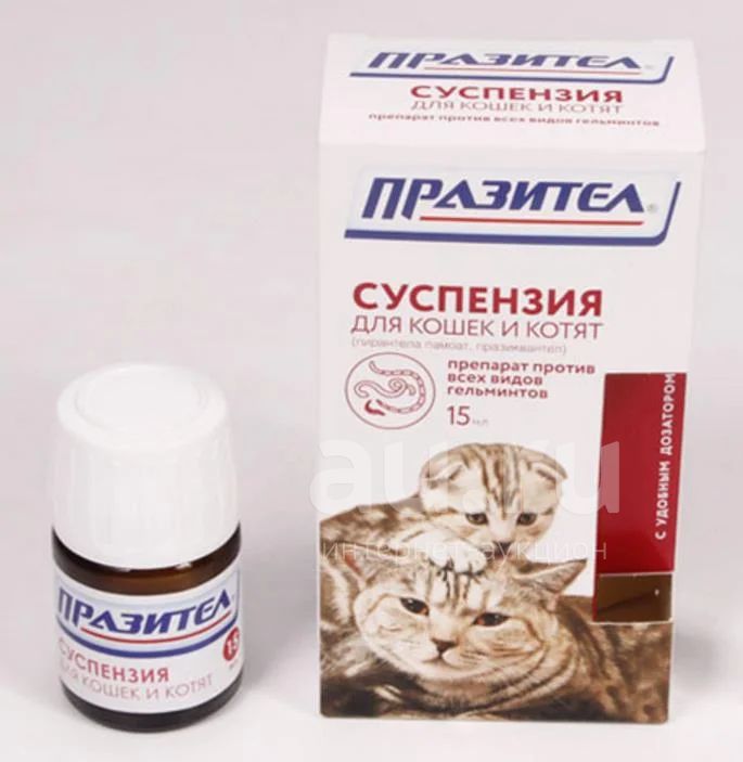 Суспензия от глистов для котят Празител. Таблетки от глистов для кошек Празител. Празител суспензия для кошек и котят, 15 мл. Паразител суспензия для котят. Суспензия от глистов для котят Празител. Таблетки от глистов для кошек Празител. Празител суспензия для кошек и котят, 15 мл. Паразител суспензия для котят.